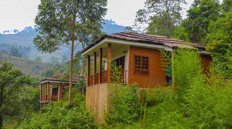 Uganda Gorilla Trekking Cost for German Travelers 13 Four Gorillas Lodge near Bwindi