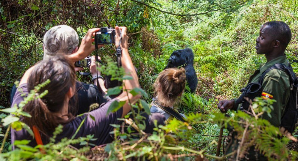 Uganda Safari guide