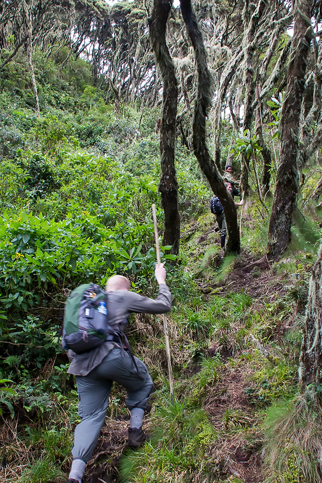 Nkuringo Gorilla Trekking Guide 13 Trekkers climbing up a steep clay trail in the misty hills of Nkuringo