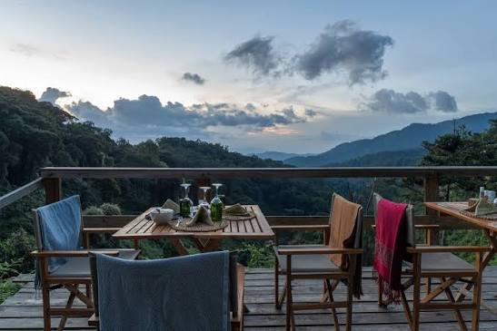 Golden Monkey Safari 13 A cozy eco-lodge nestled near a misty mountain forest edge