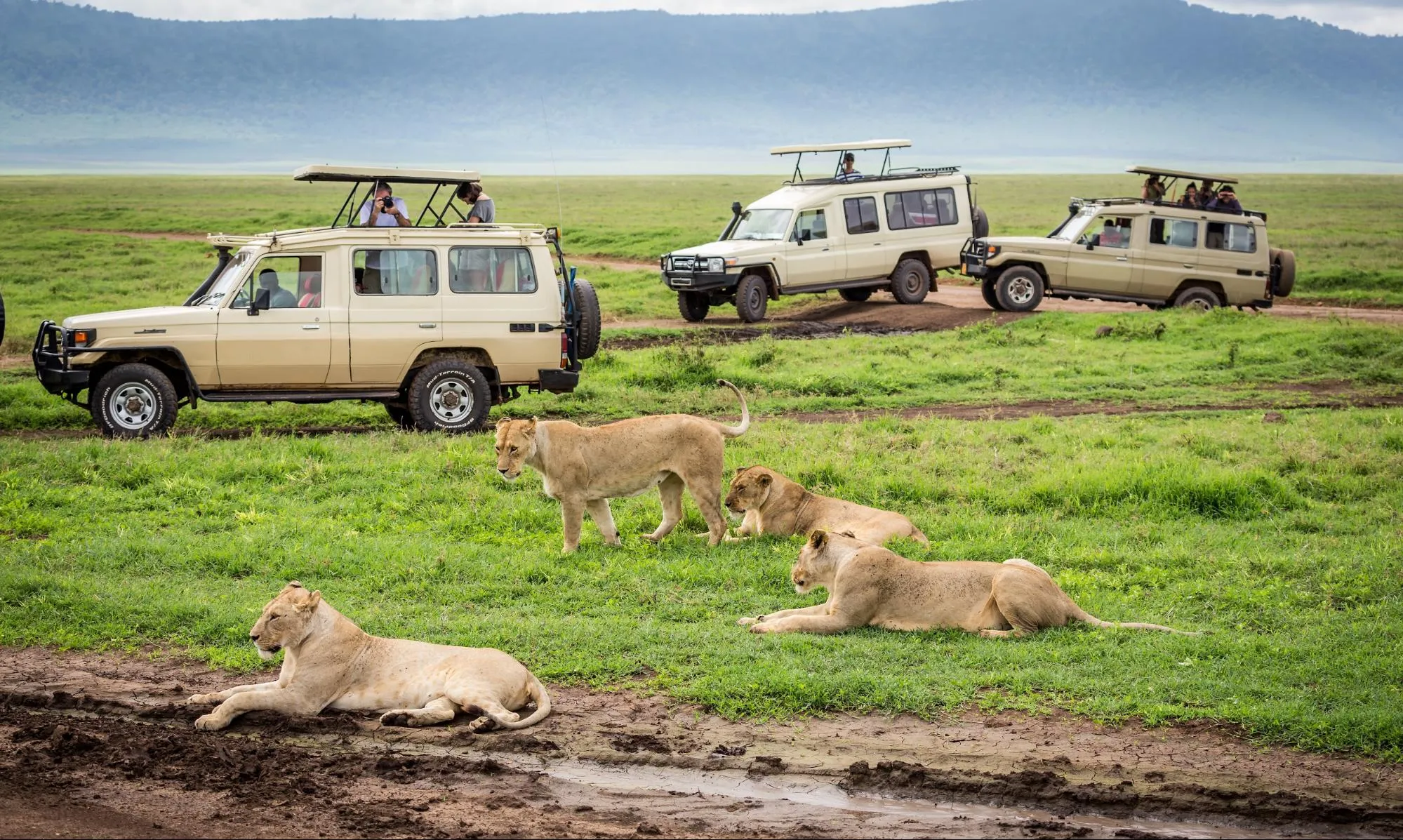 East Africa Safari Guide: Cost, Best Time & Routes 2026/2027 7 Safari vehicles viewing lions on the open plains during a classic Kenya safari in the Maasai Mara