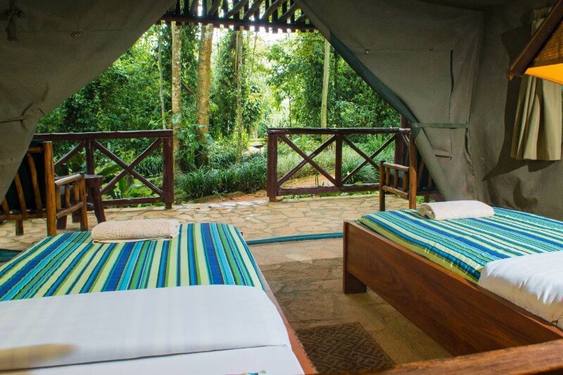 Kibale Forest Safari Accommodation Comfortable safari accommodation in the tropical forest environment around Kibale