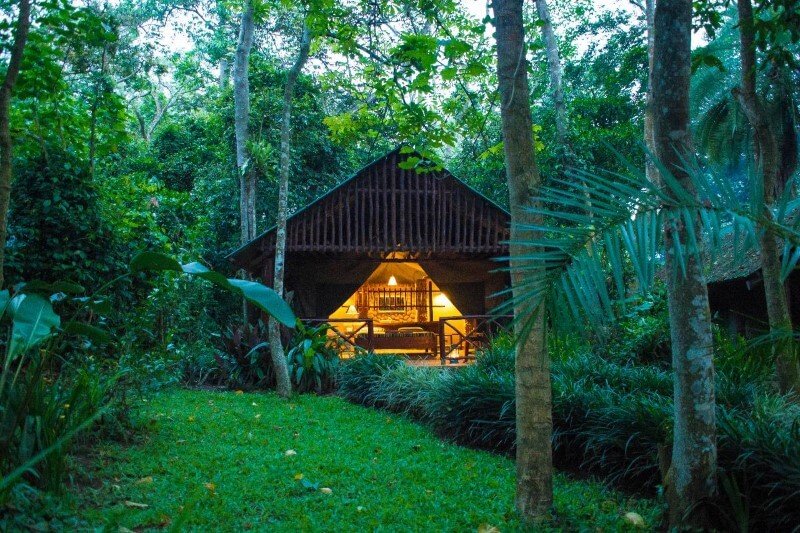 Kibale Forest Camp in Kibale National Park Kibale Forest Camp surrounded by tropical forest in Kibale National Park Uganda