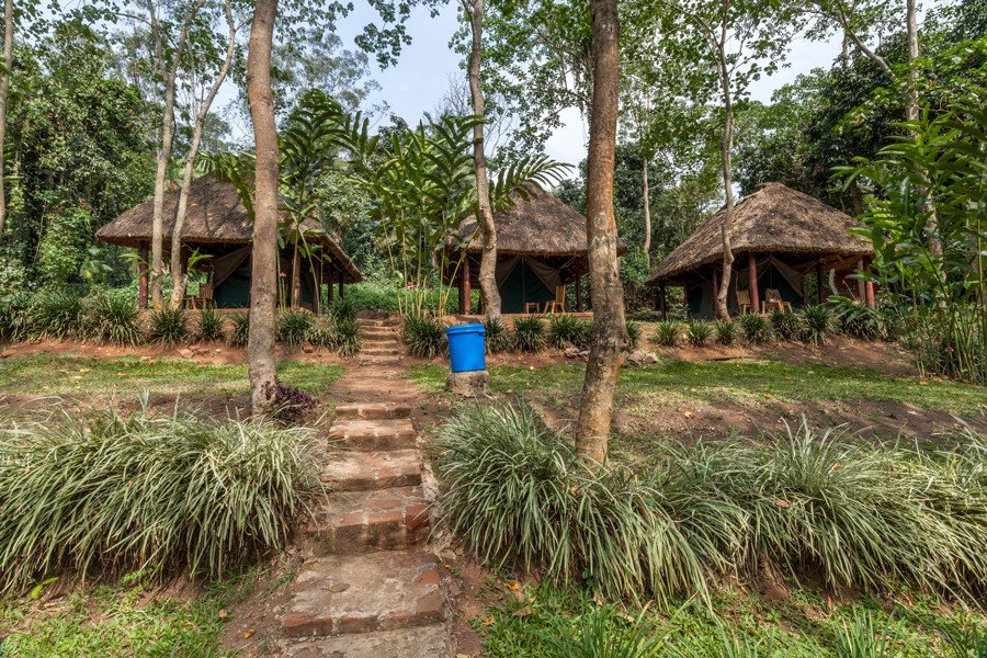 Kibale Forest Camp Safari Tent Budget safari tent accommodation in the forest environment near Kibale National Park