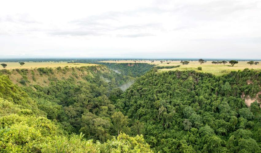 Rwanda vs Uganda Safari: Which Is Best? 2026/2027 27 Scenic view of the lush Kyambura Gorge forest inside Queen Elizabeth National Park, representing chimpanzee trekking in Uganda