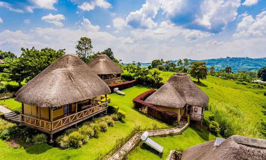Best Uganda Luxury Holidays 2026/2027: Ultimate Safari Guide 27 Luxury safari lodges with thatched cottages surrounded by lush green landscapes near Kibale National Park in Uganda