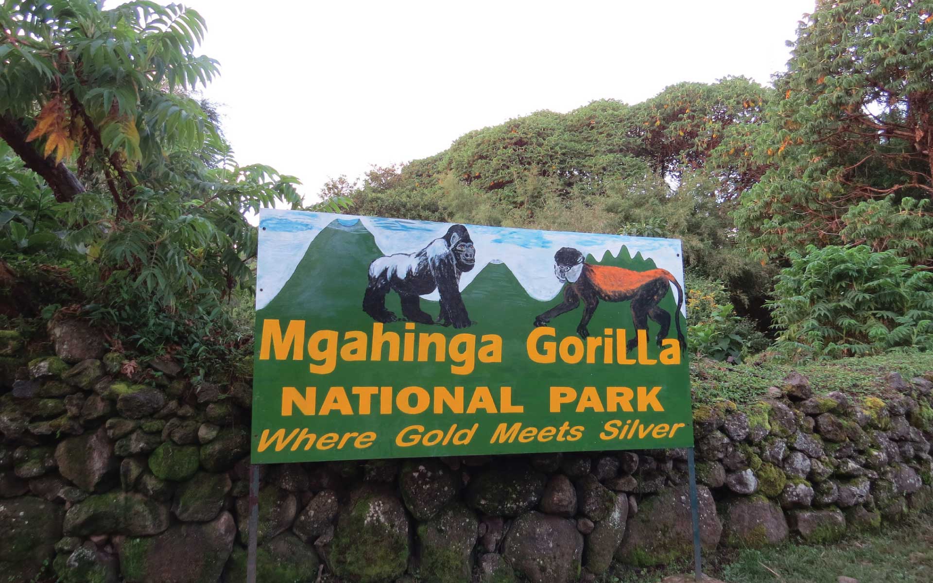 Best Uganda Luxury Holidays 2026/2027: Ultimate Safari Guide 15 Mgahinga Gorilla National Park sign surrounded by lush vegetation, representing exclusive gorilla and golden monkey trekking adventures in Uganda