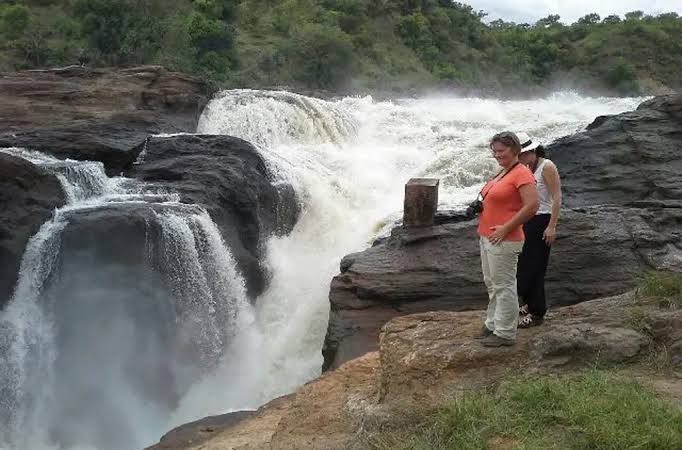 Best time for Gorilla trekking Uganda 25 Travelers visiting Murchison Falls while combining gorilla trekking with a wildlife safari in Uganda