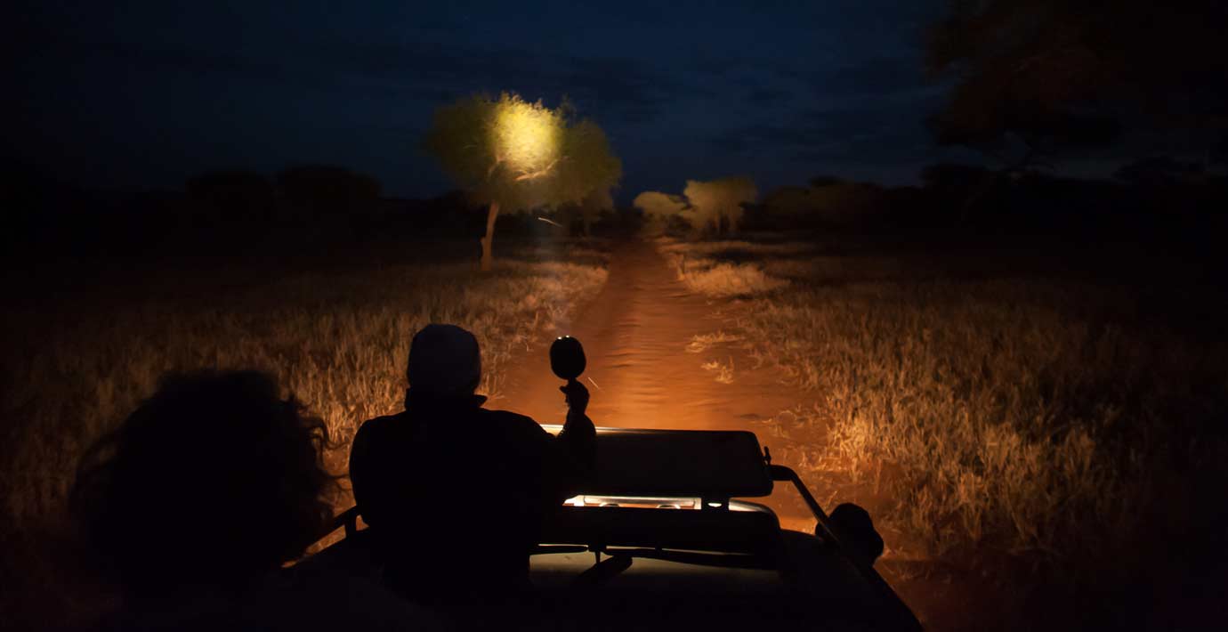 Incredible Uganda Wildlife Encounters: Ultimate Safari Guide 2026/2027 45 Safari vehicle exploring a dark savannah during a night game drive in Uganda