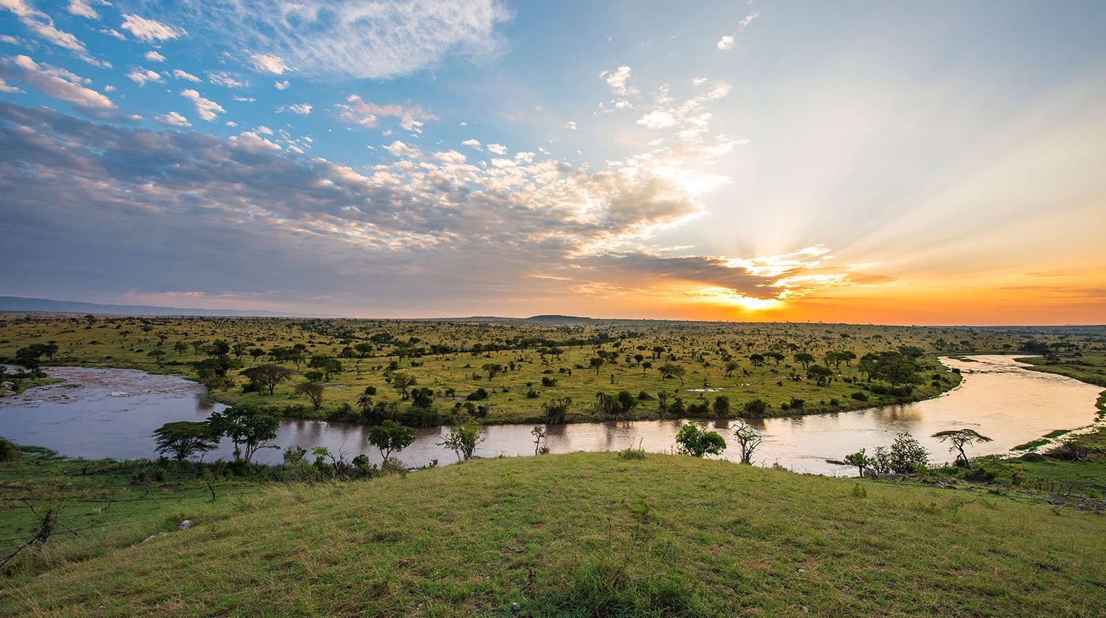 Uganda Gorillas and Serengeti Migration Safari Guide 13 Northern Serengeti and Mara River migration region