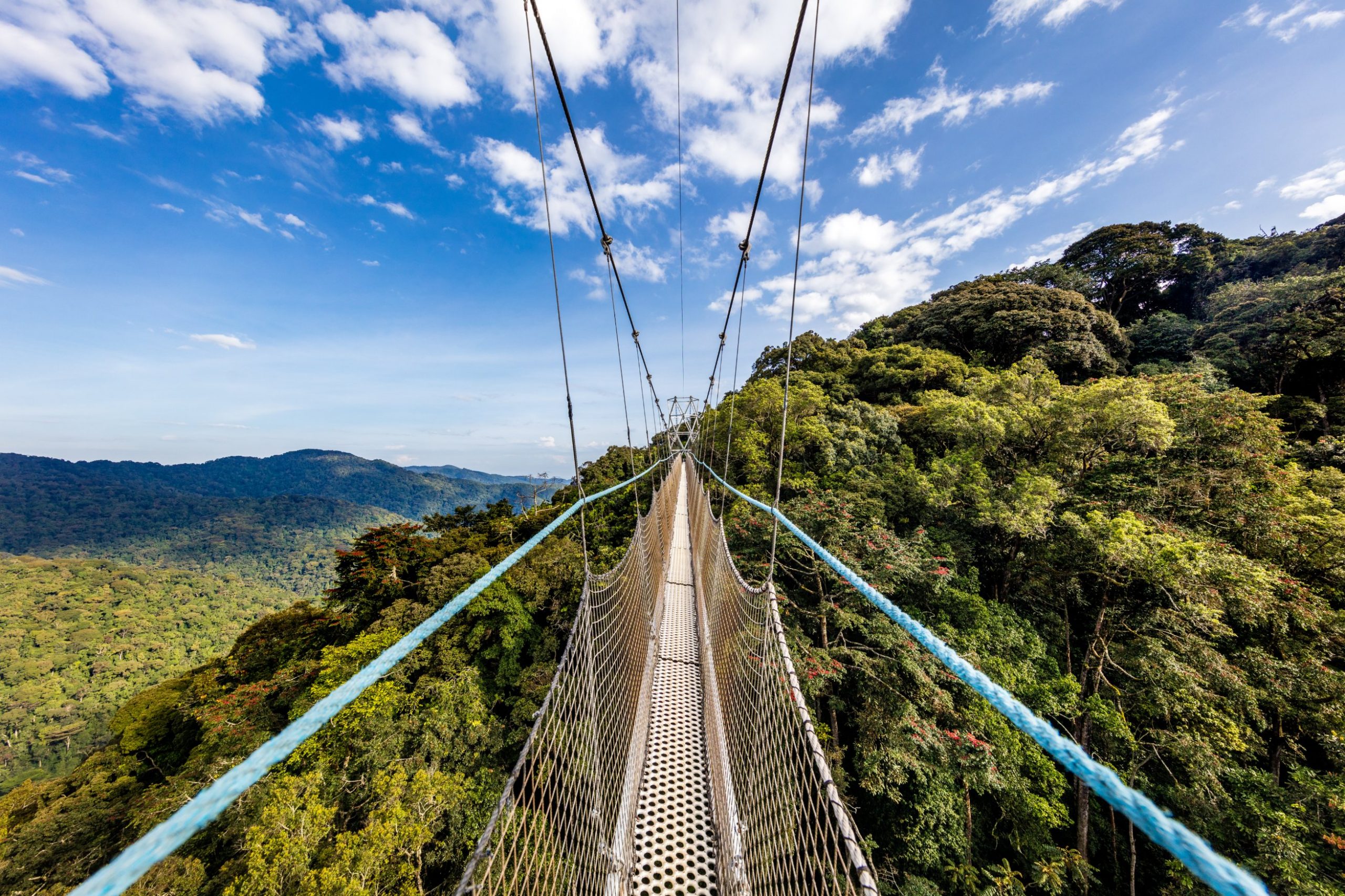 East Africa Safari Guide: Cost, Best Time & Routes 2026/2027 21 Canopy walkway suspended above the rainforest in Nyungwe Forest National Park, Rwanda