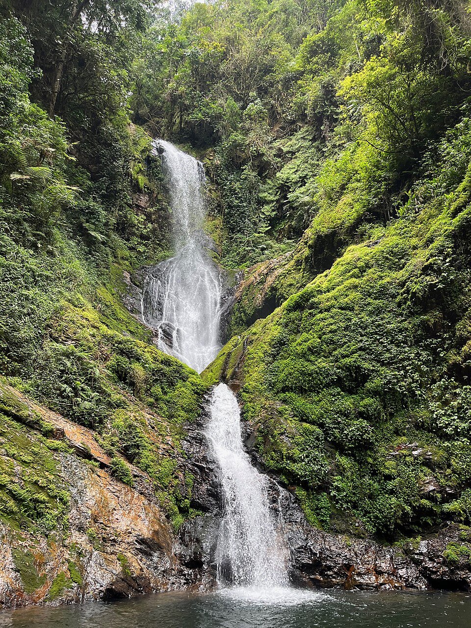 Nyungwe Chimpanzees 35 A multi-tiered waterfall cascades down a steep, rocky cliff completely covered in lush green moss and dense tropical jungle foliage into a calm pool at the bottom.