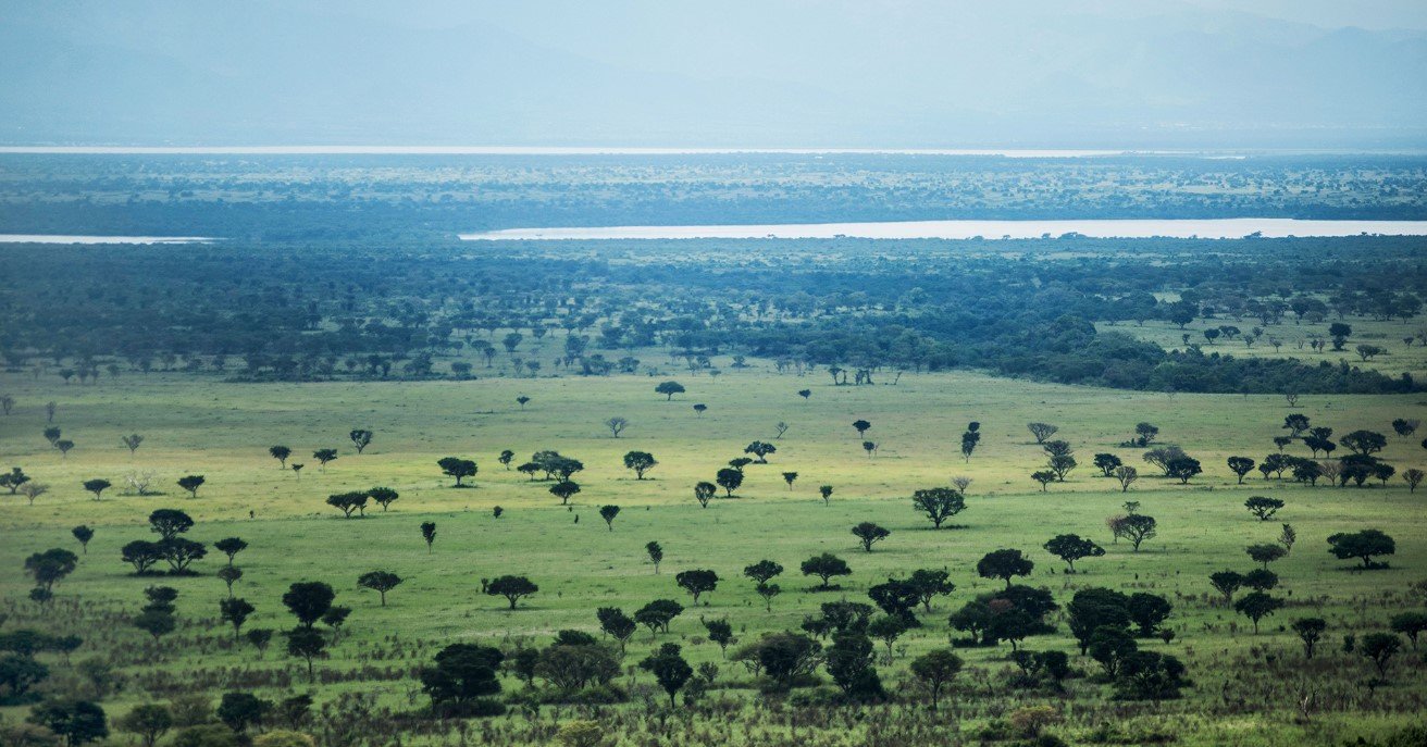 Queen Elizabeth National Park Guide 37 Vast green savannah under a bright sky in Queen Elizabeth National Park