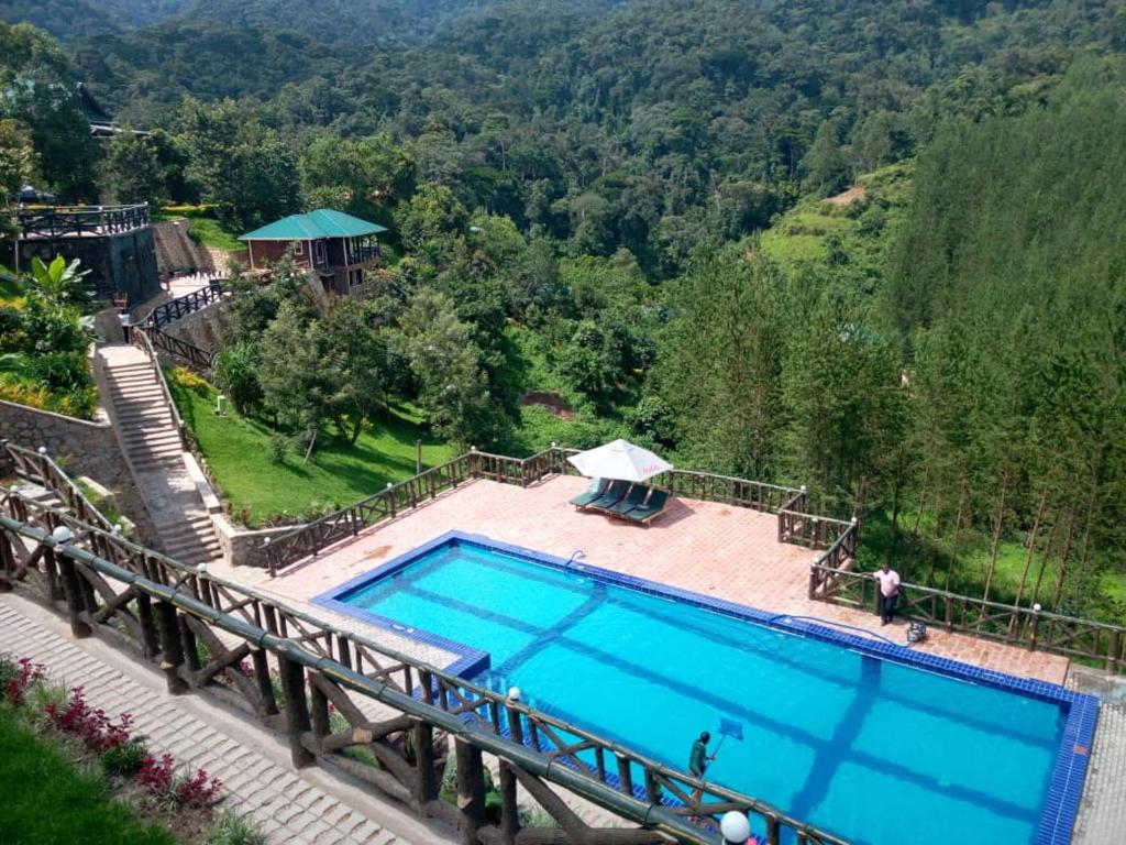 Luxury Gorilla Lodges in Bwindi 9 An outdoor swimming pool on a paved terrace built into a steep hillside overlooking a dense tropical rainforest valley in Rushaga Bwindi