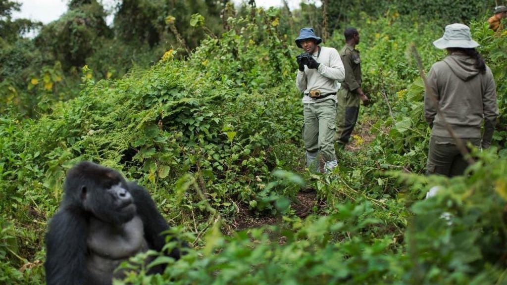 Rwanda Budget Gorilla Trekking safari