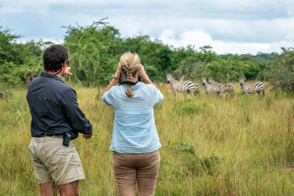 Best Rwanda Safari Packages in 2026/2027 | Wildlife Safari 21 Couple watching zebras on a Rwanda honeymoon safari, representing romantic wildlife experiences in Akagera National Park.