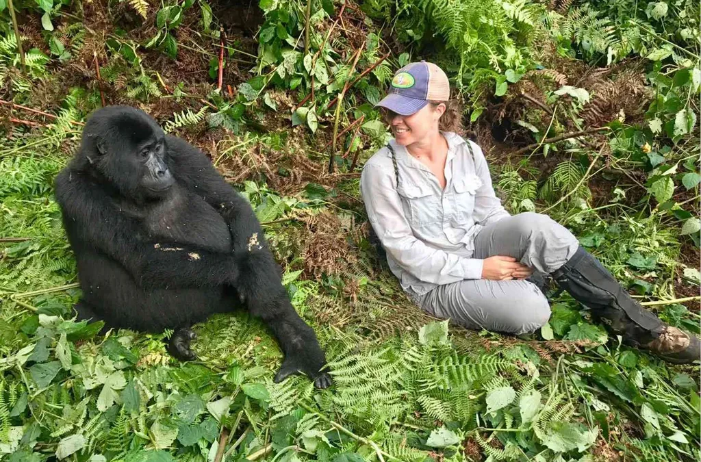 East Africa Safari Guide: Cost, Best Time & Routes 2026/2027 5 Traveler observing a mountain gorilla in lush rainforest during a Rwanda gorilla trekking safari