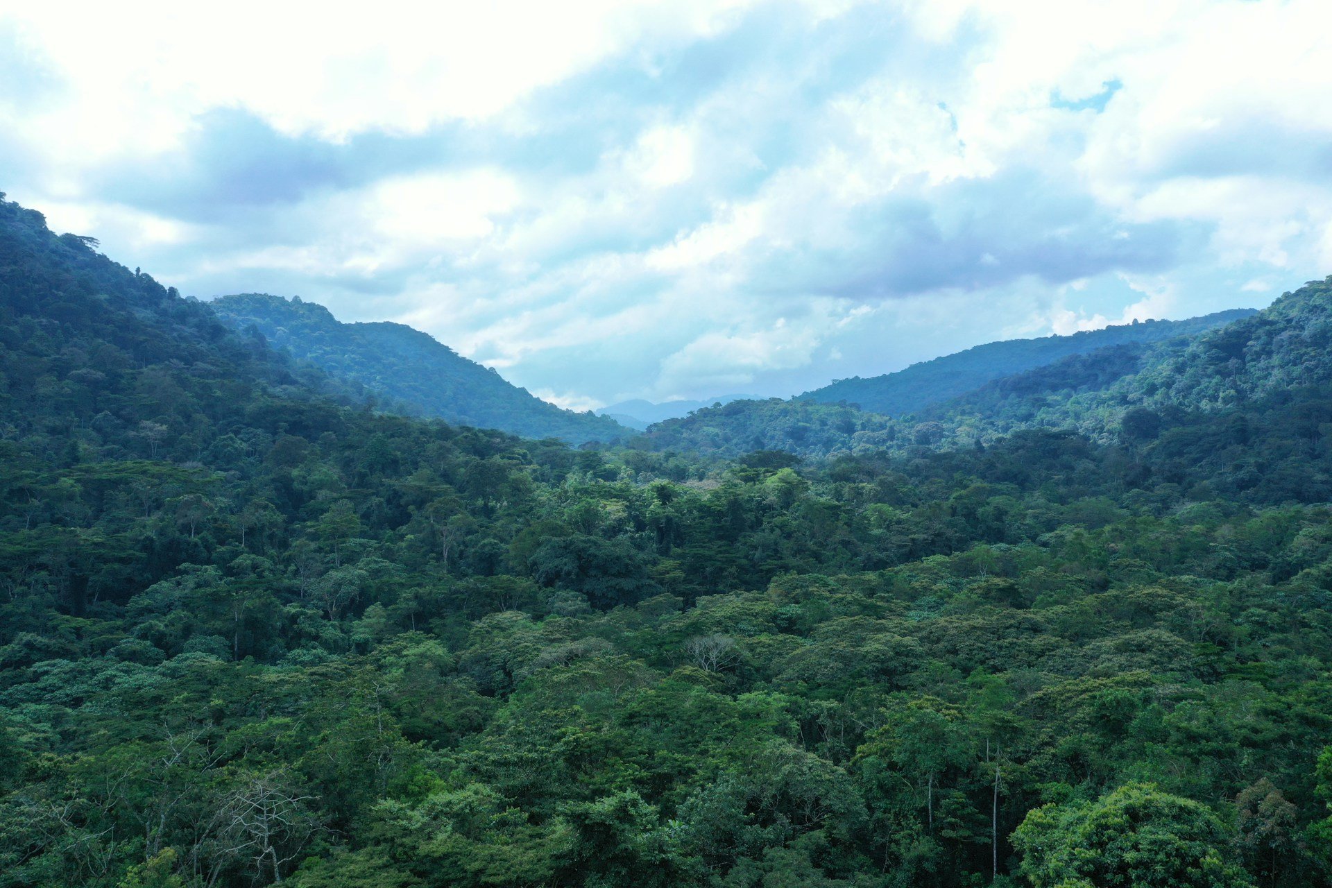 Uganda Safari Cost from Germany 11 Uganda landscape illustrating seasonal safari travel