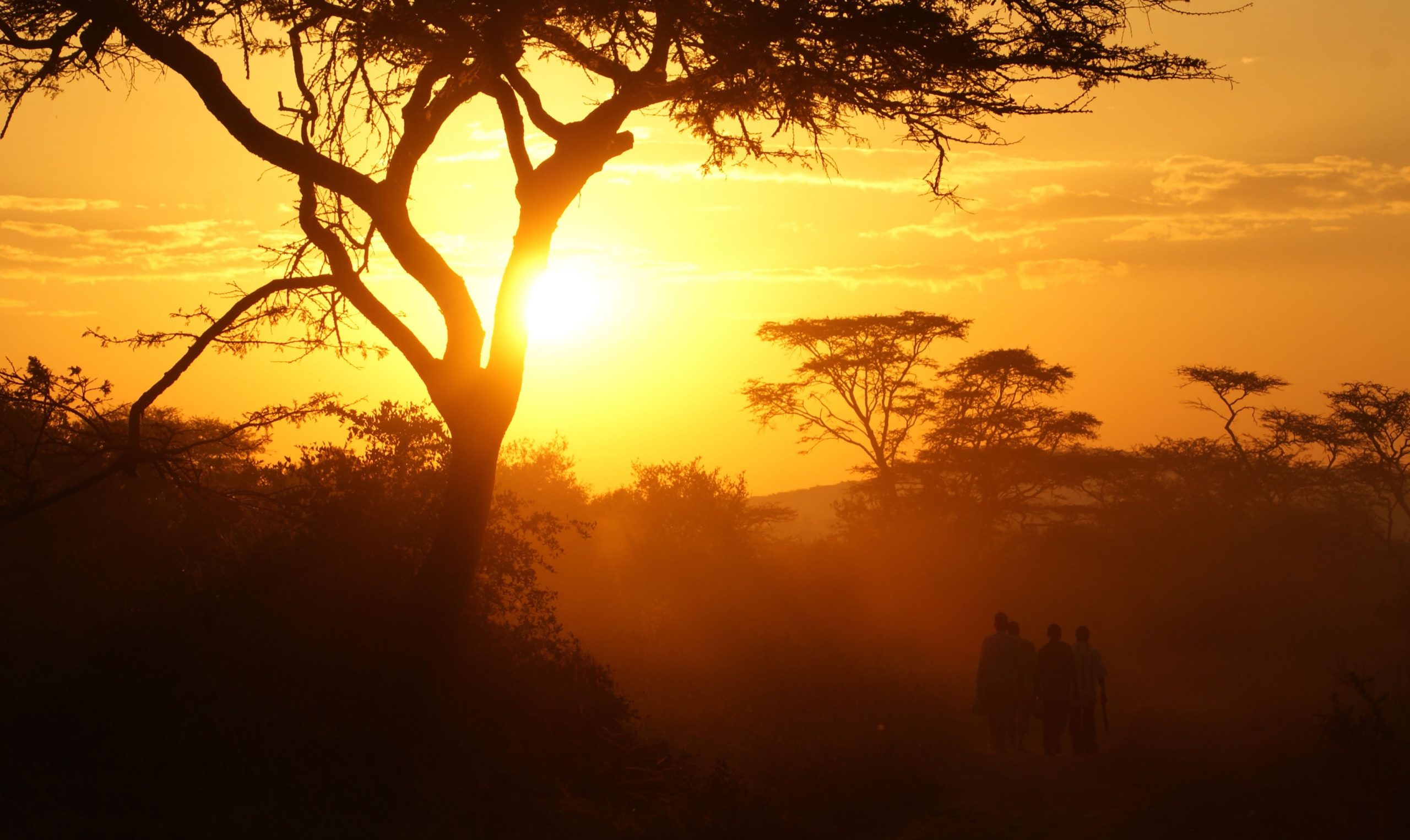 Gorilla trekking for photographers 5 Silhouetted trees and people walking during a golden sunset in Uganda.