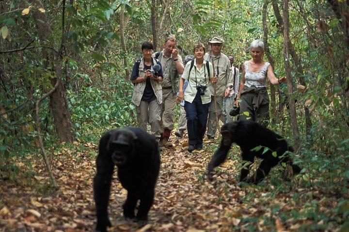 Uganda Travel Tips