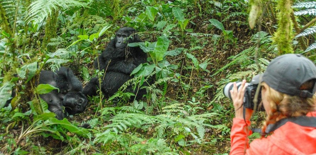 Best Uganda Travel Guide- The Ultimate Lead 2026-2030 1 Uganda Travel Guide
