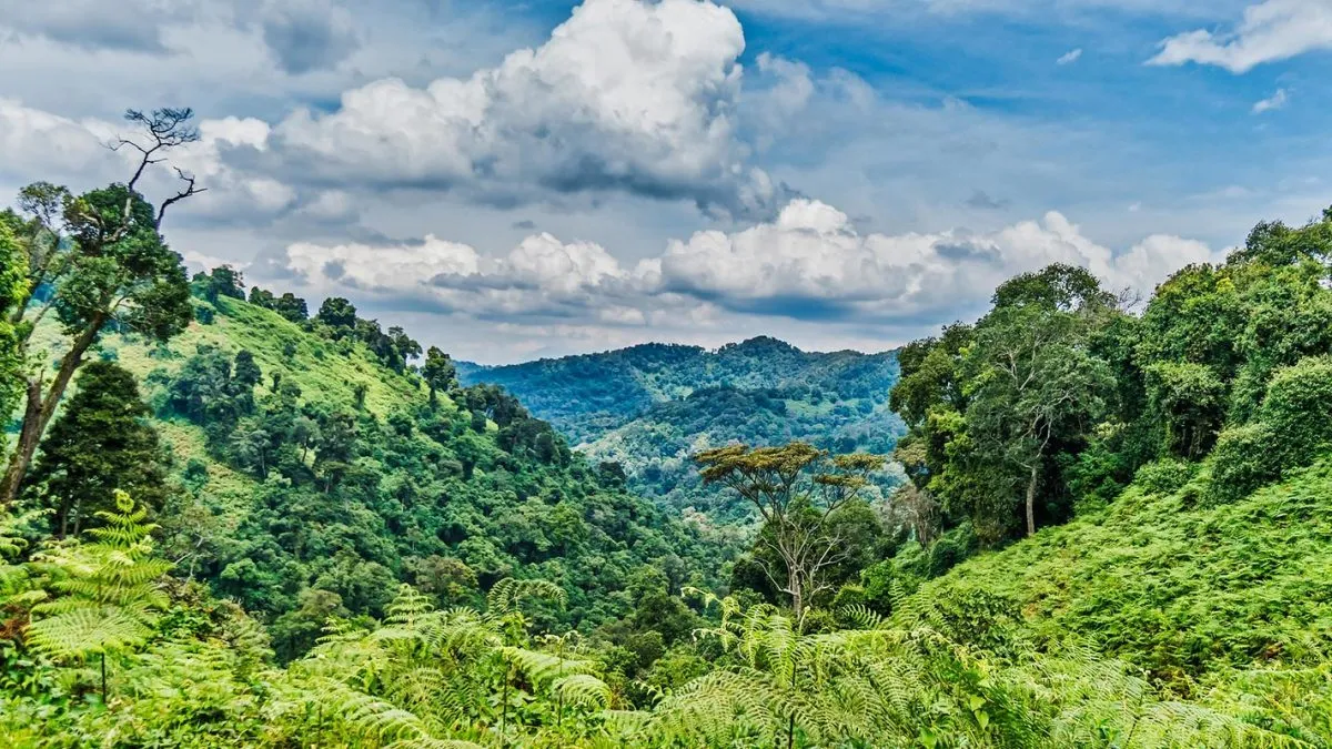 Uganda Weather Guide 1 Vibrant green rolling hills under a cloudy sky in Uganda.