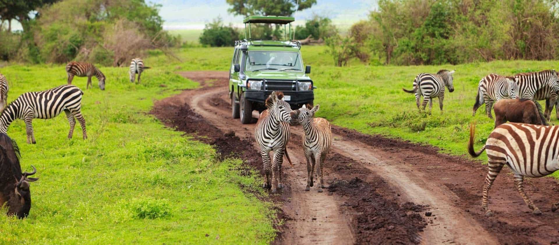 East Africa Safari Guide: Cost, Best Time & Routes 2026/2027 1 Safari vehicle driving among zebras and other wildlife during an East Africa safari experience