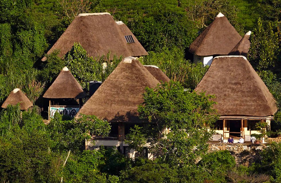 Best Luxury Fly-In Gorilla Safaris to Bwindi: 2026/2027 Guide 25 Volcanoes Bwindi Lodge surrounded by lush forest near Bwindi Impenetrable National Park in Uganda