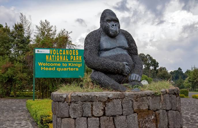 Rwanda Gorilla Safaris