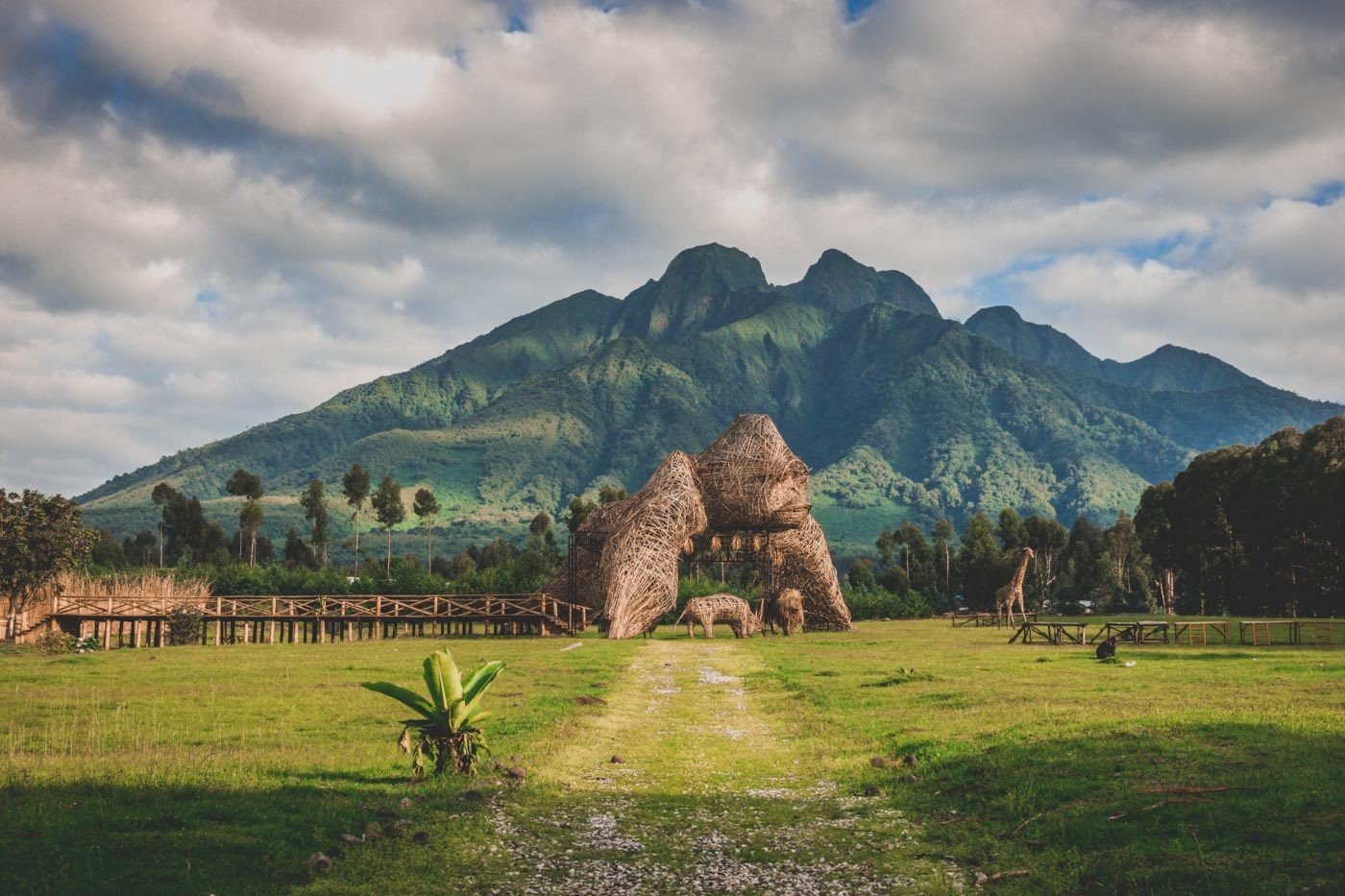 Rwanda vs Uganda Safari: Which Is Best? 2026/2027 23 Scenic view of Volcanoes National Park in Rwanda with dramatic Virunga mountain scenery and a gorilla-inspired structure in the foreground