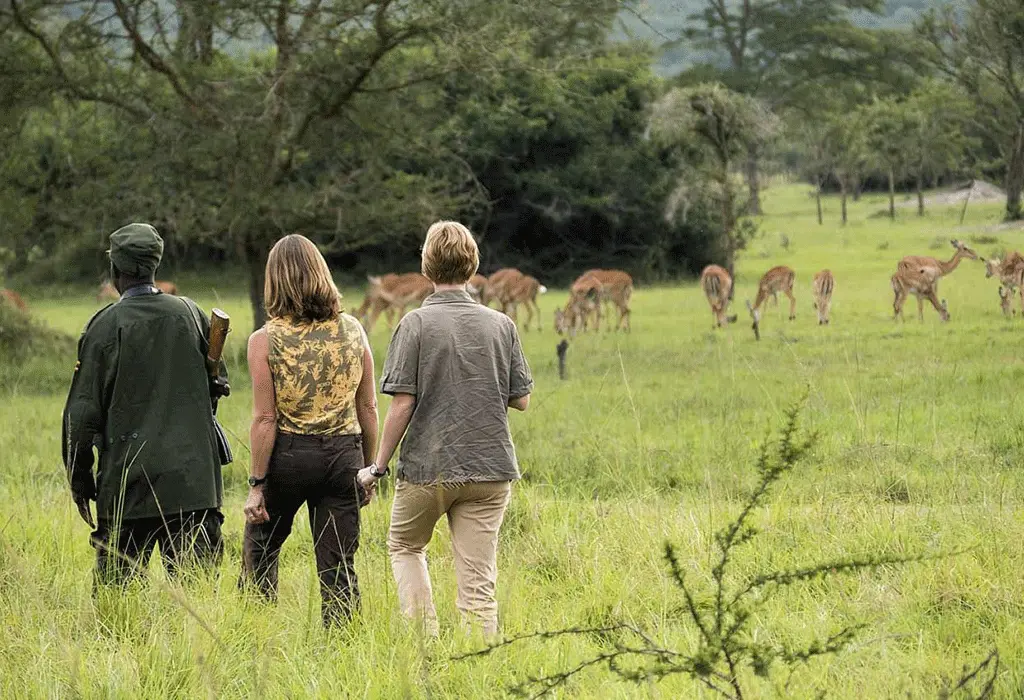 Incredible Uganda Wildlife Encounters: Ultimate Safari Guide 2026/2027 43 Travelers on a guided walking safari observing antelopes in Lake Mburo National Park, Uganda