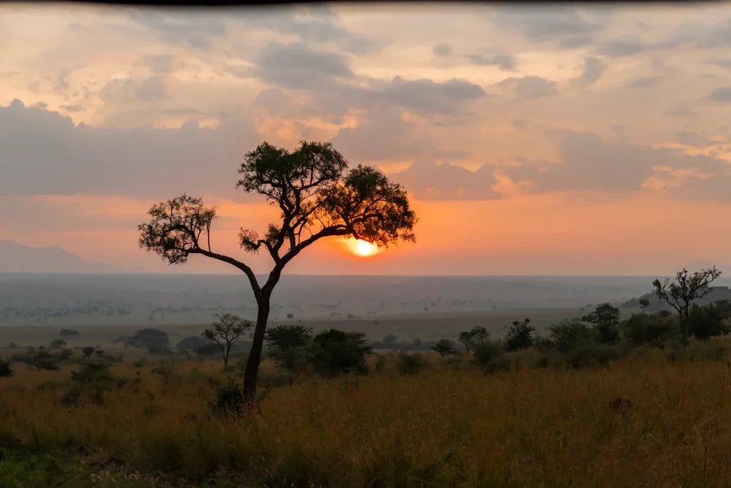 Uganda Safari in July 5 Sunny weather over Uganda's national parks in July