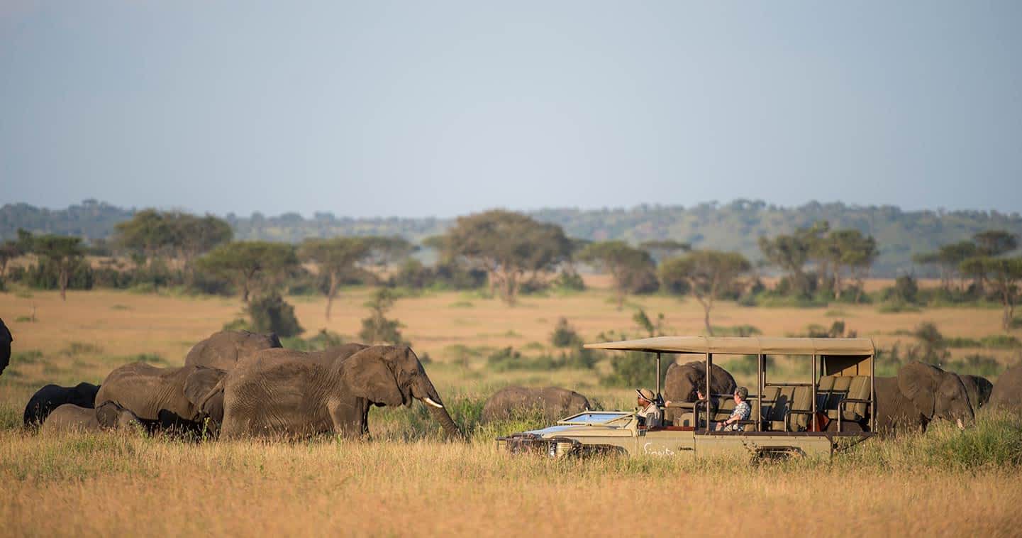 Uganda Gorillas and Serengeti Migration Safari Guide 11 Western Serengeti and Grumeti region Tanzania
