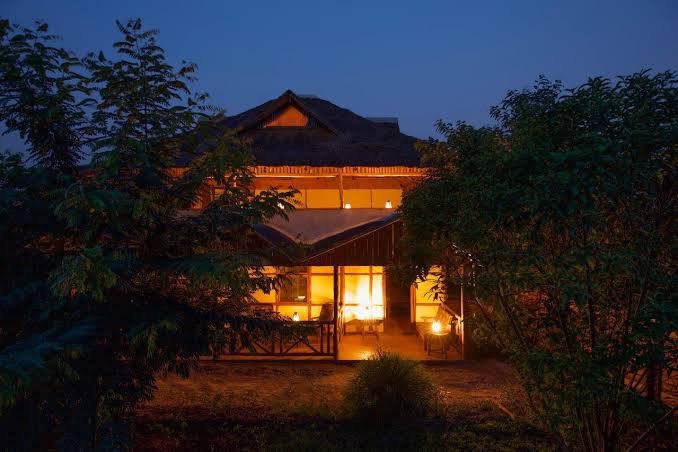 Tree-Climbing Lions guide 2026/27 21 Safari lodge illuminated at night and surrounded by lush trees and vegetation