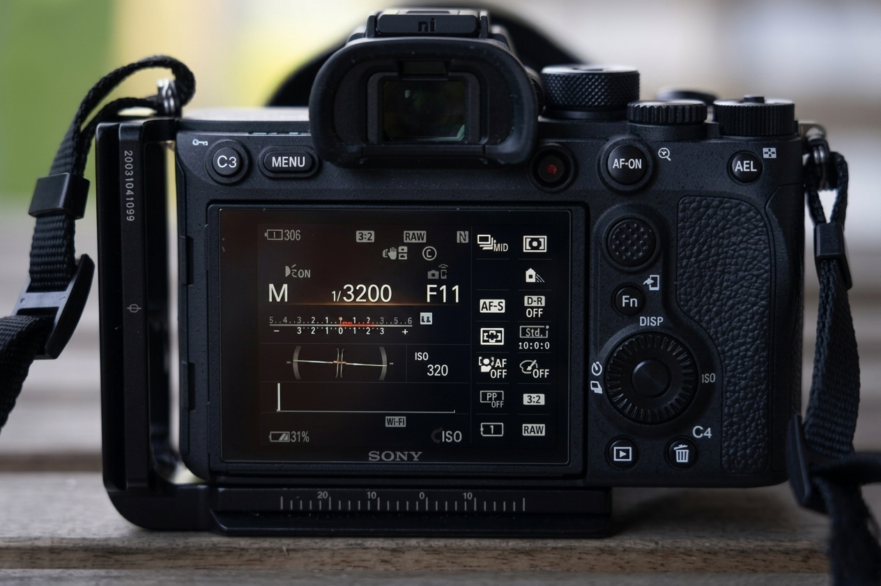 Gorilla trekking for photographers 11 Sony camera screen showing Manual mode, 1/3200 shutter speed, and F11 aperture.