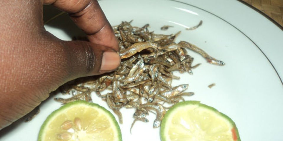 Uganda Food Guide 39 Mukene small dried silverfish eaten in Uganda