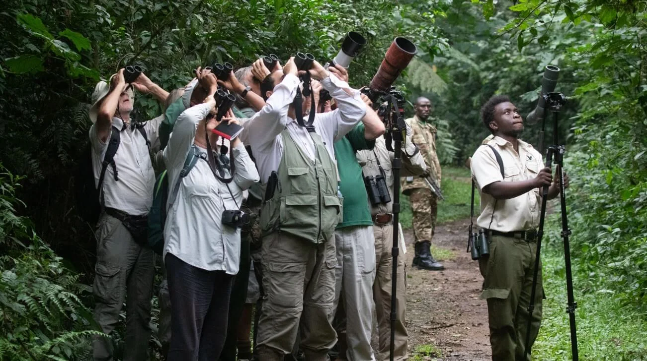 ourists with binoculars looking up at birds on a forest trail in Uganda