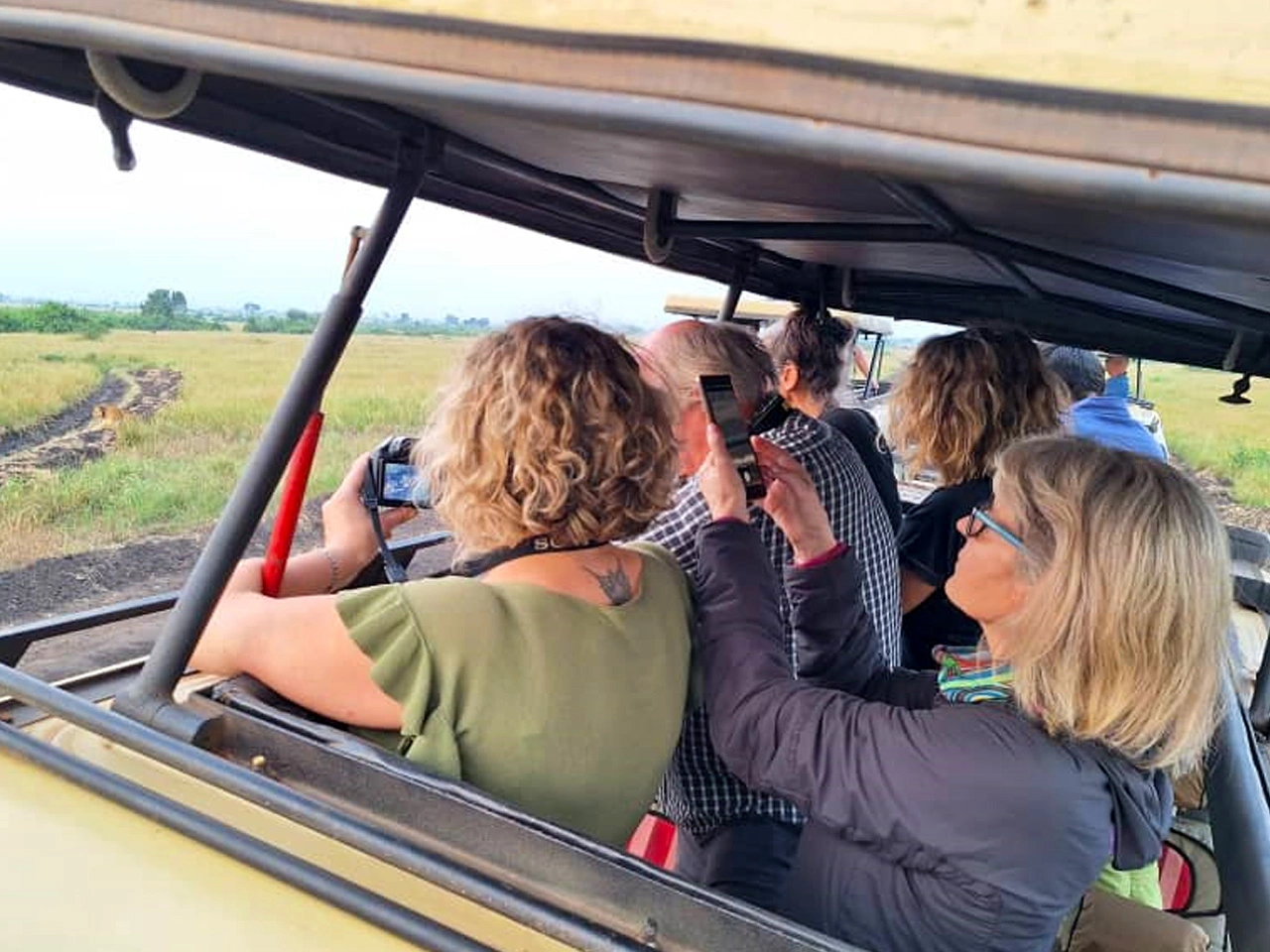 Uganda Safety Guide 11 Tourists take photos from inside a safari vehicle in Uganda.