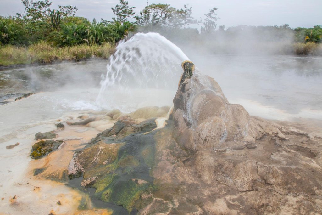 Uganda Safari Guide