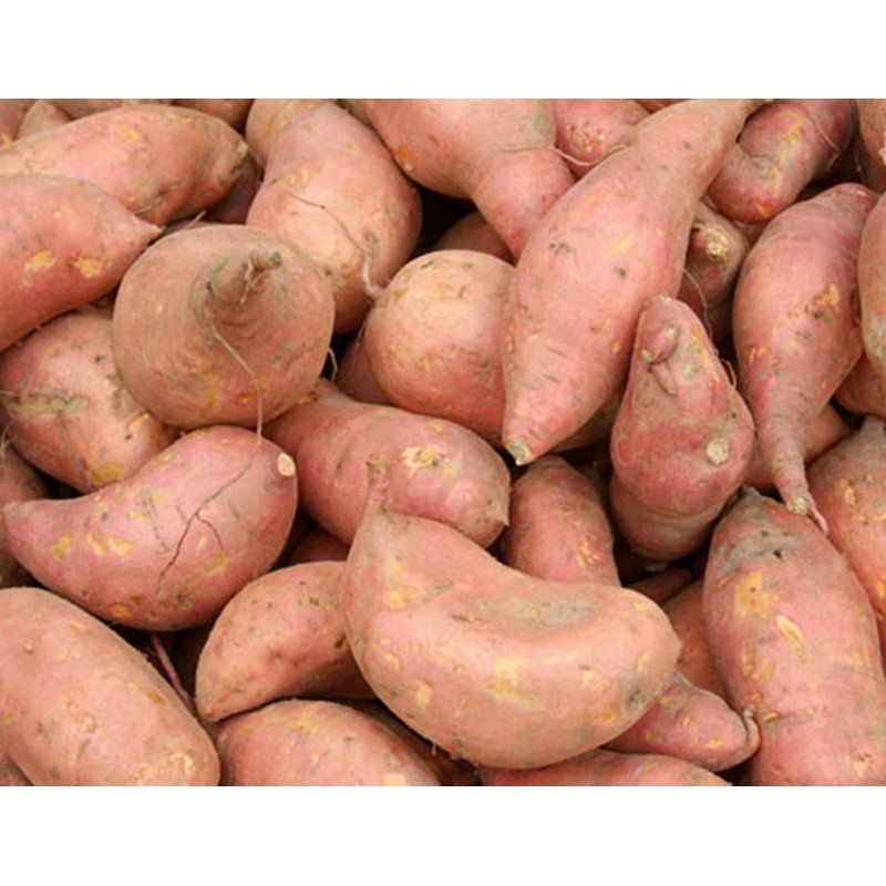 Uganda Food Guide 29 Fresh Ugandan sweet potatoes locally known as lumonde