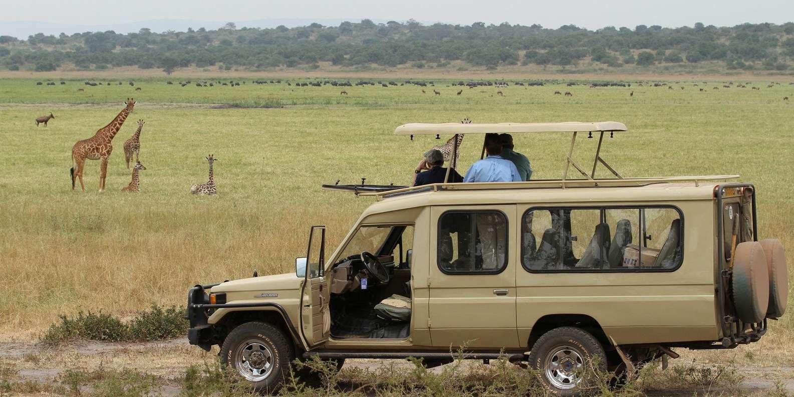 Wildlife Conservation Success in Akagera National Park 29 Akagera National Park game drive Rwanda