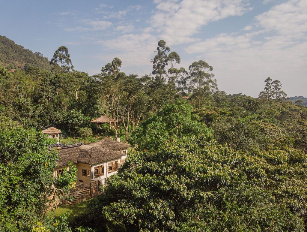 Luxury safari lodge surrounded by lush rainforest near Bwindi Impenetrable National Park during a Uganda luxury safari from China