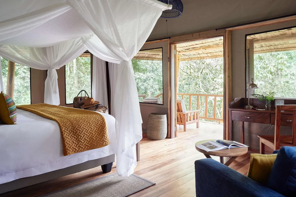 Bwindi Gorilla Trekking from China 18 Luxury safari lodge room with private balcony overlooking the forest near Bwindi Impenetrable National Park