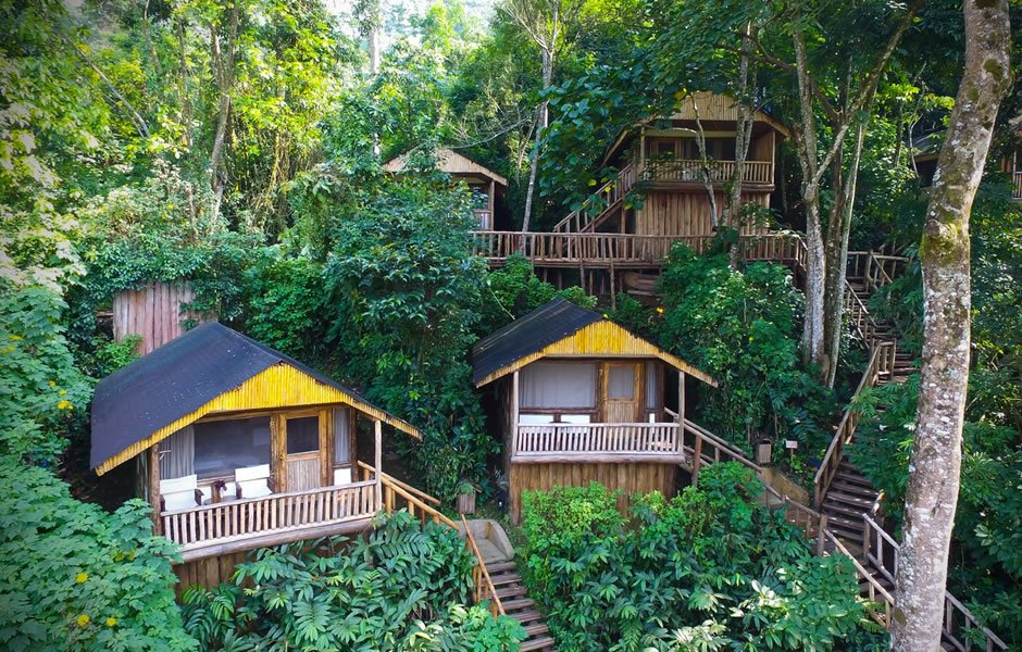What Makes Gorilla Habituation Worth 4 Hours 15 Accommodation near Bwindi Uganda