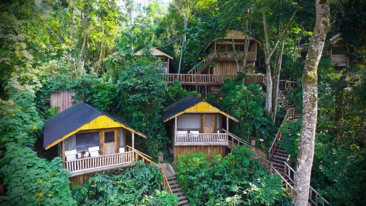 Mid range lodge accommodation in Bwindi Uganda