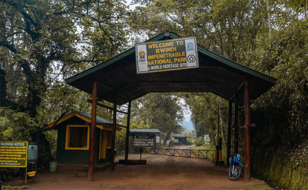 10-Day Uganda and Rwanda Christmas Safari: Festive Gorilla & Wildlife Tour 9 Bwindi forest landscape on a 10-day Uganda and Rwanda Christmas safari route