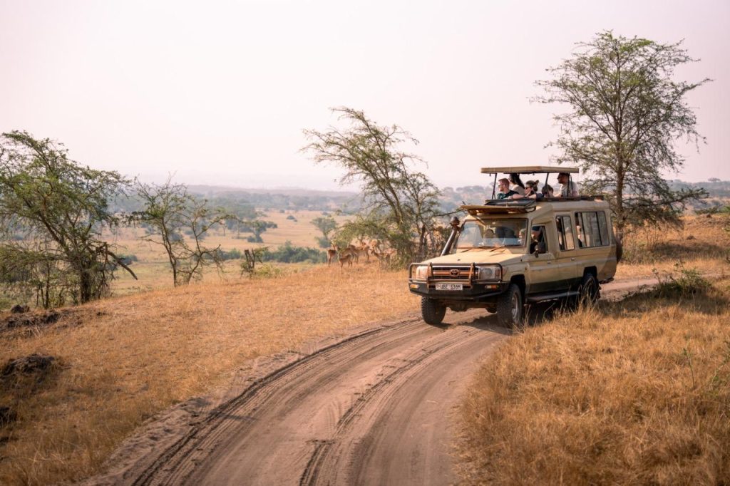 Private 4x4 safari vehicle traveling between Uganda national parks